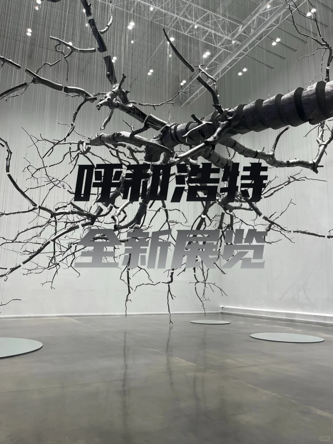 ?呼和浩特全新地标 | 西贝当代艺术馆