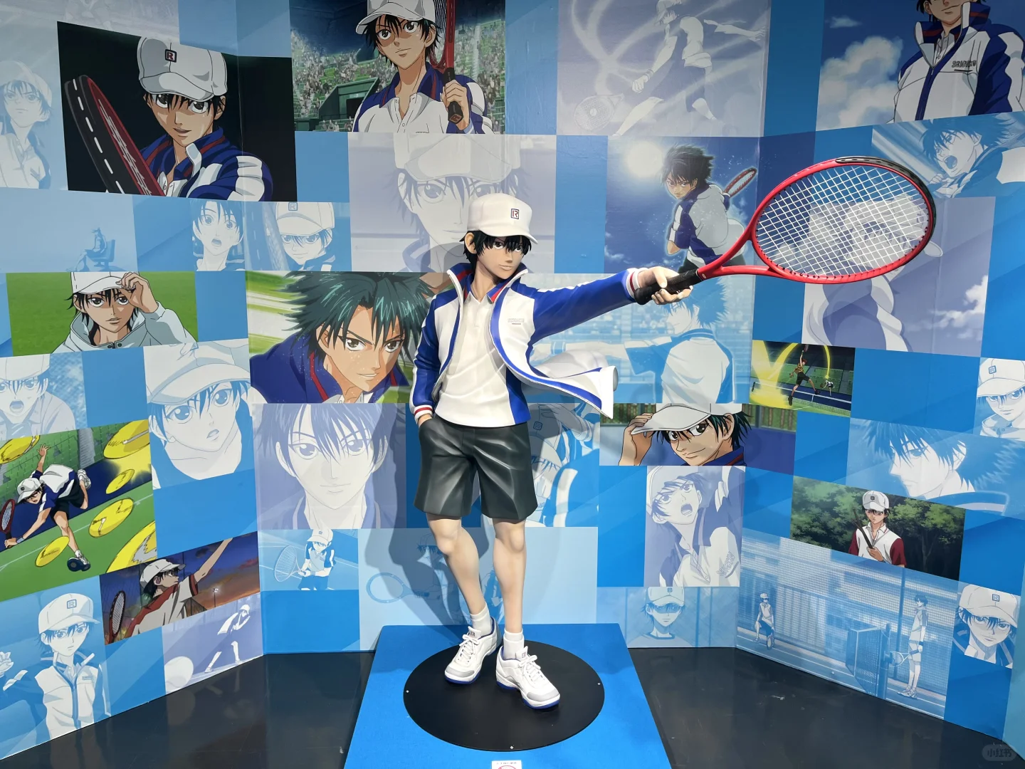 【网球王子】动漫展?