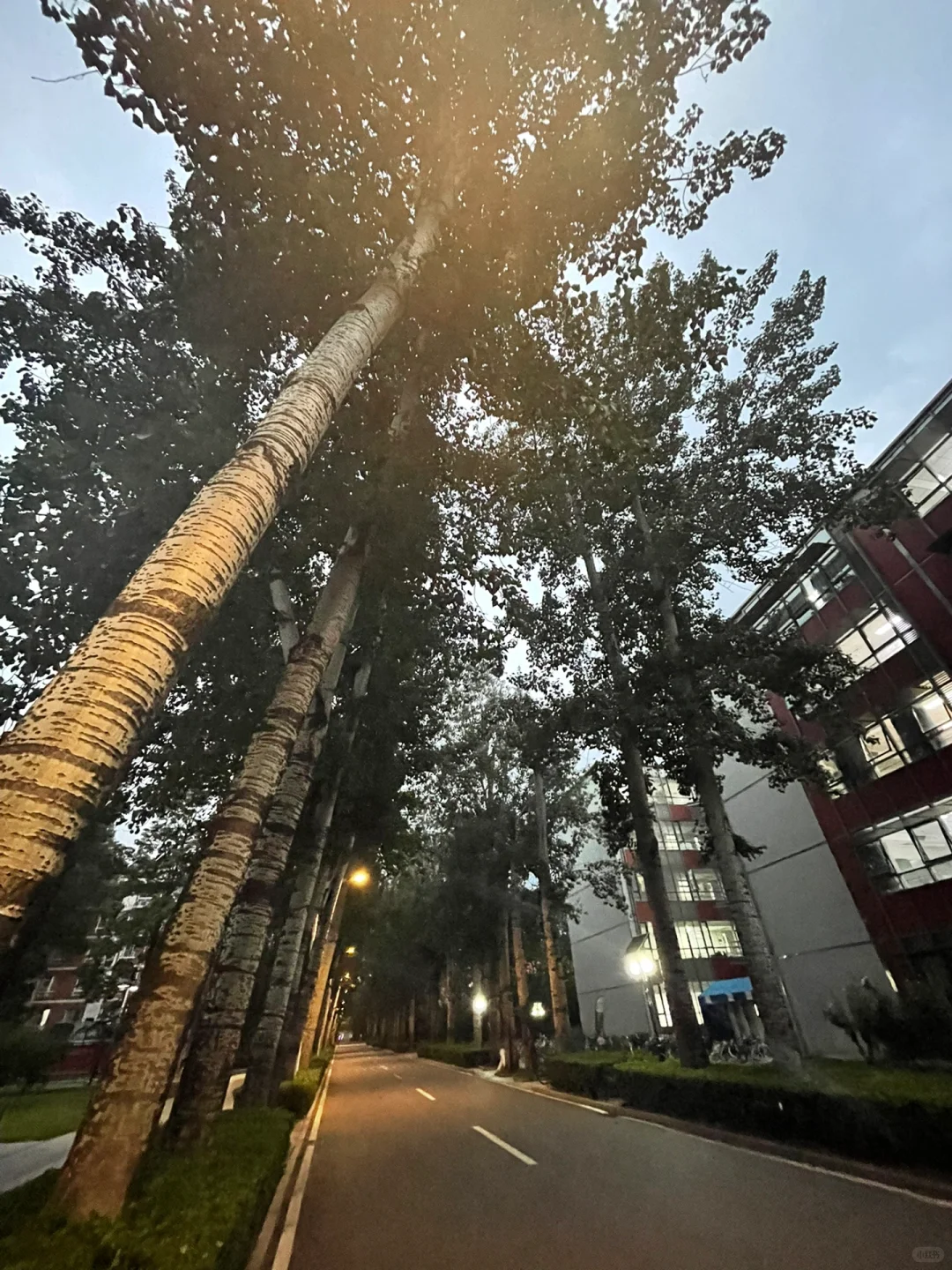 BSU | 中国体育产业价值创新论坛