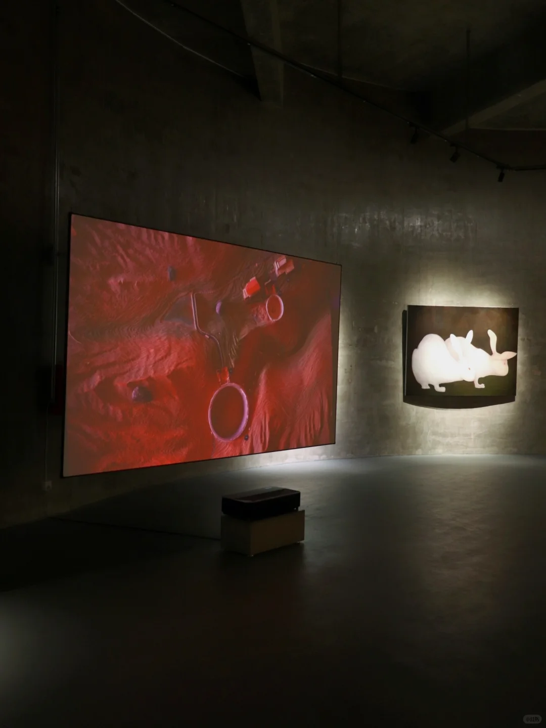 ?宁波看展丨怪诞震撼?山林艺术乌托邦