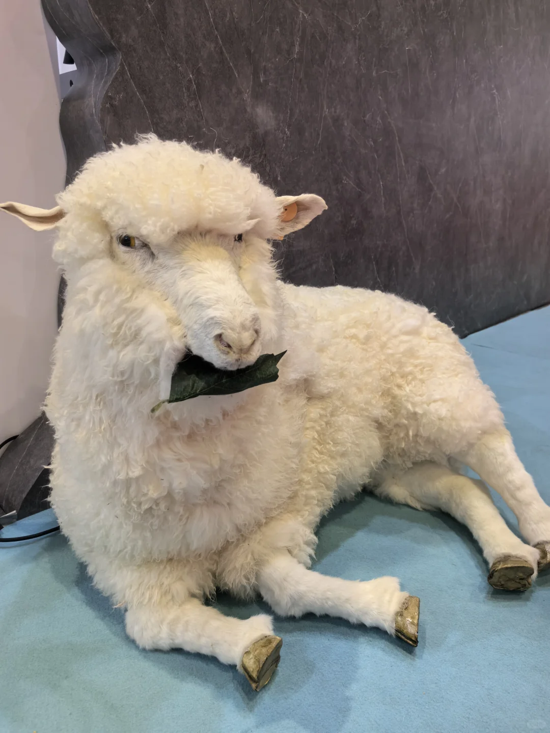 看展会啦！纺织服展?