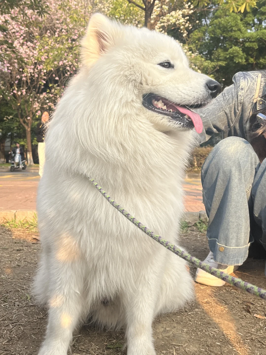今天来讲讲摆展的意义