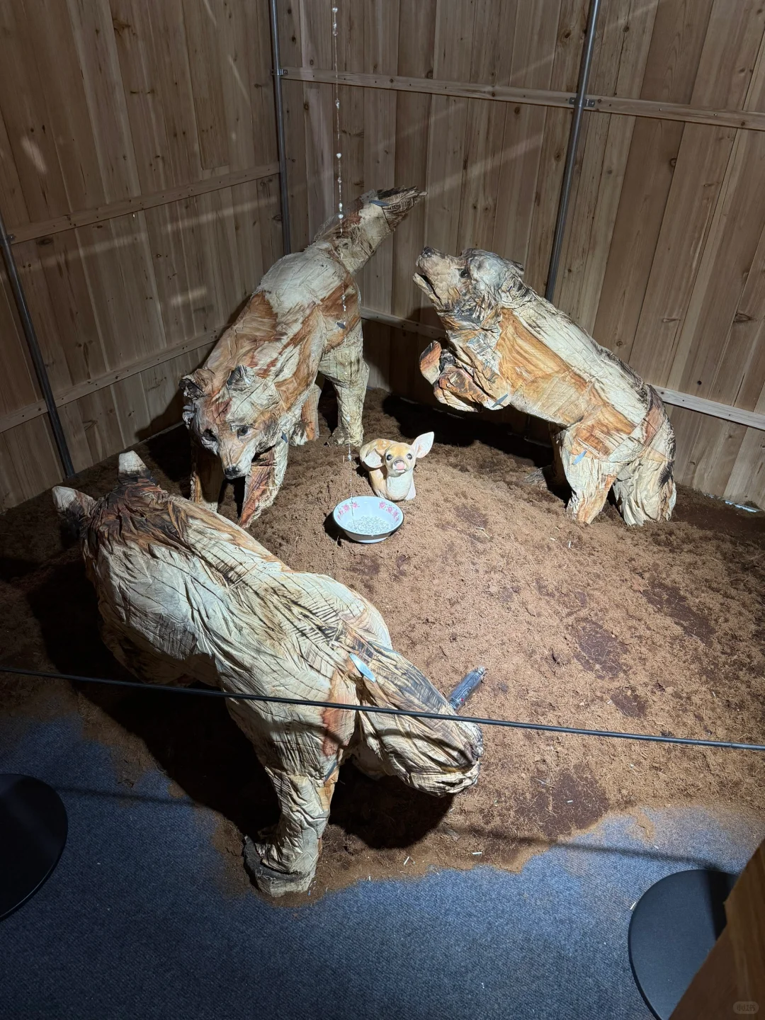 打卡中国美术学院毕业展上超现实、脑洞~艺术