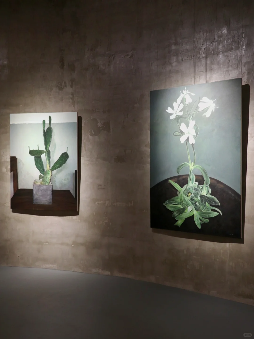 ?宁波看展丨怪诞震撼?山林艺术乌托邦