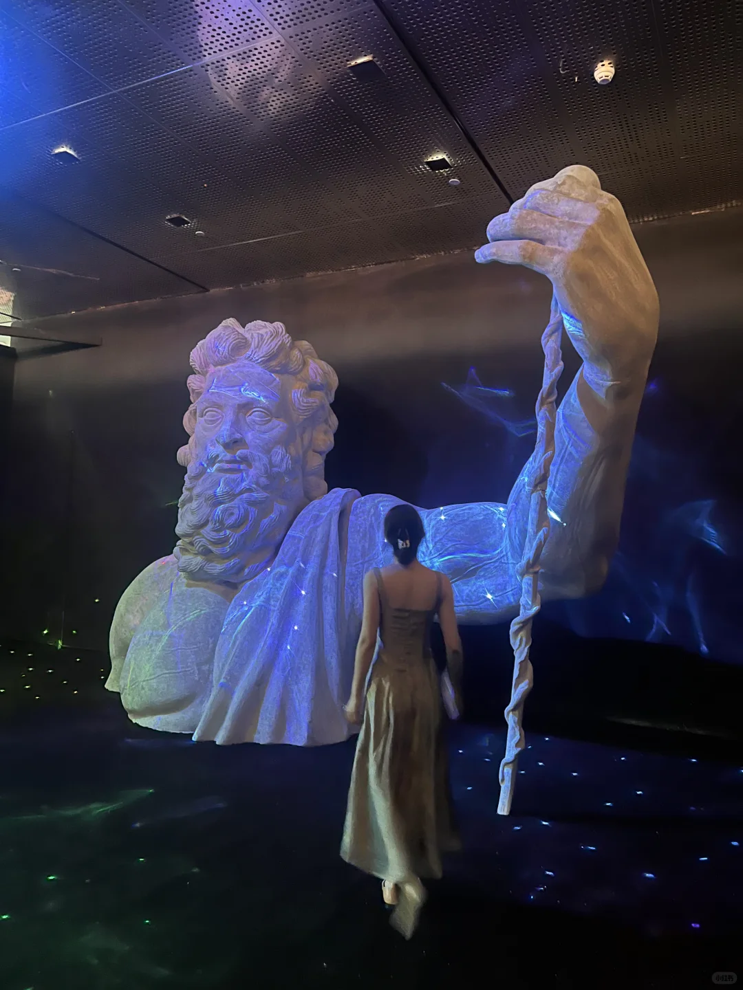 真的不是在欧洲！上海新展坠入魔法世界??