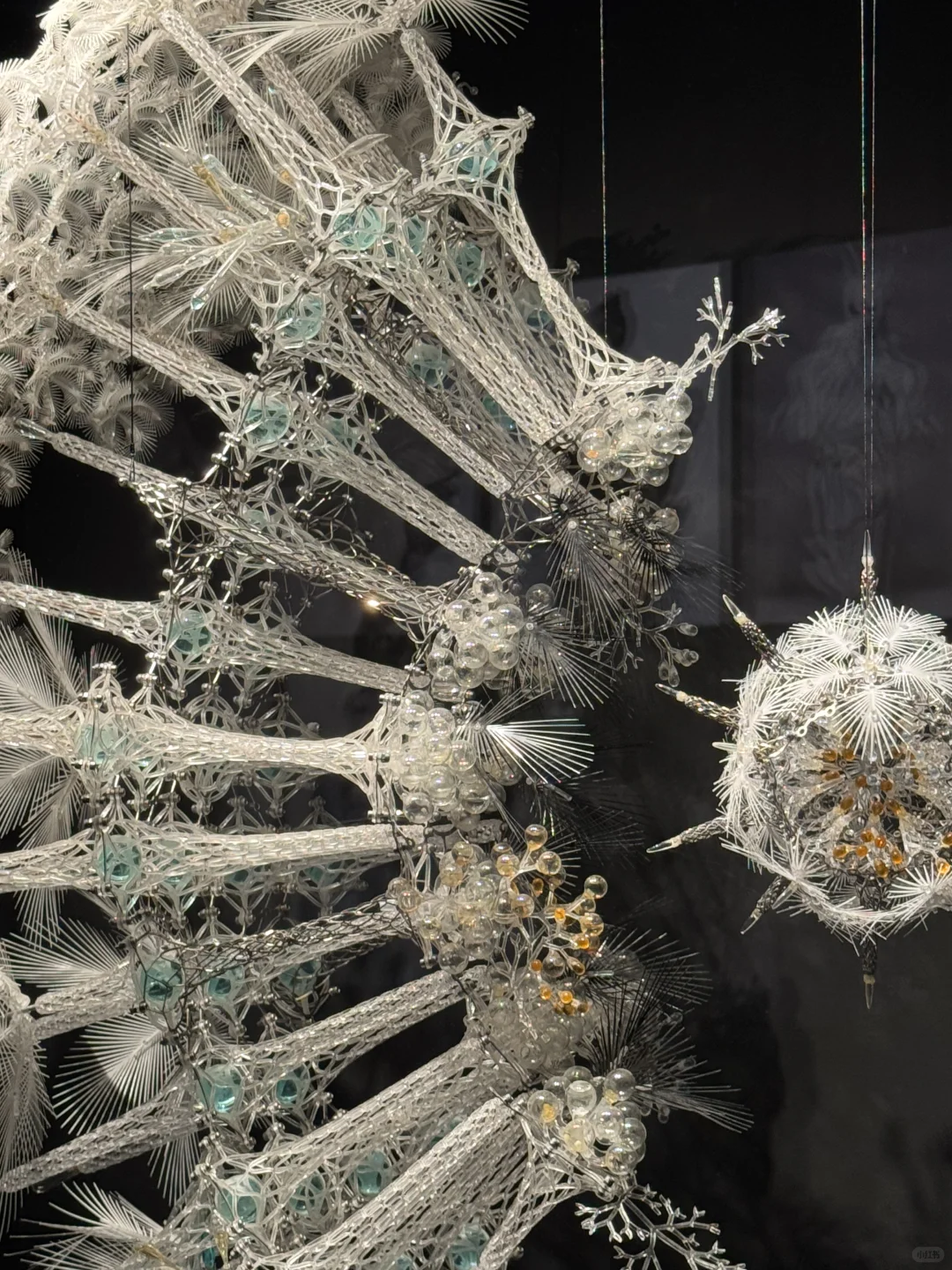 Iris van Herpen | 梦境与现实的边界