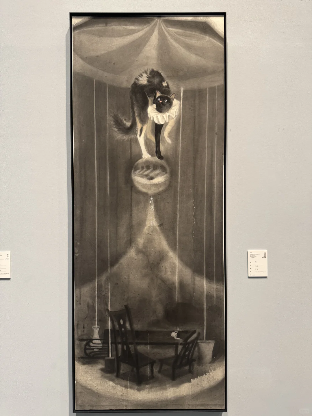 来看了清美本科毕业展