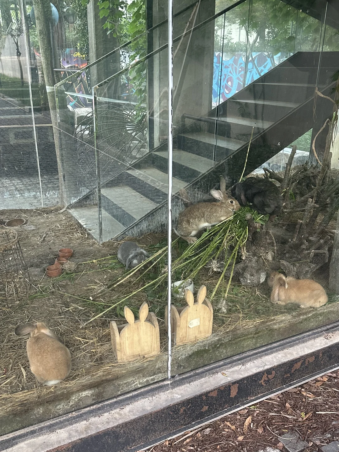 Look in my eye‼️老工业区爆改超现实主义?