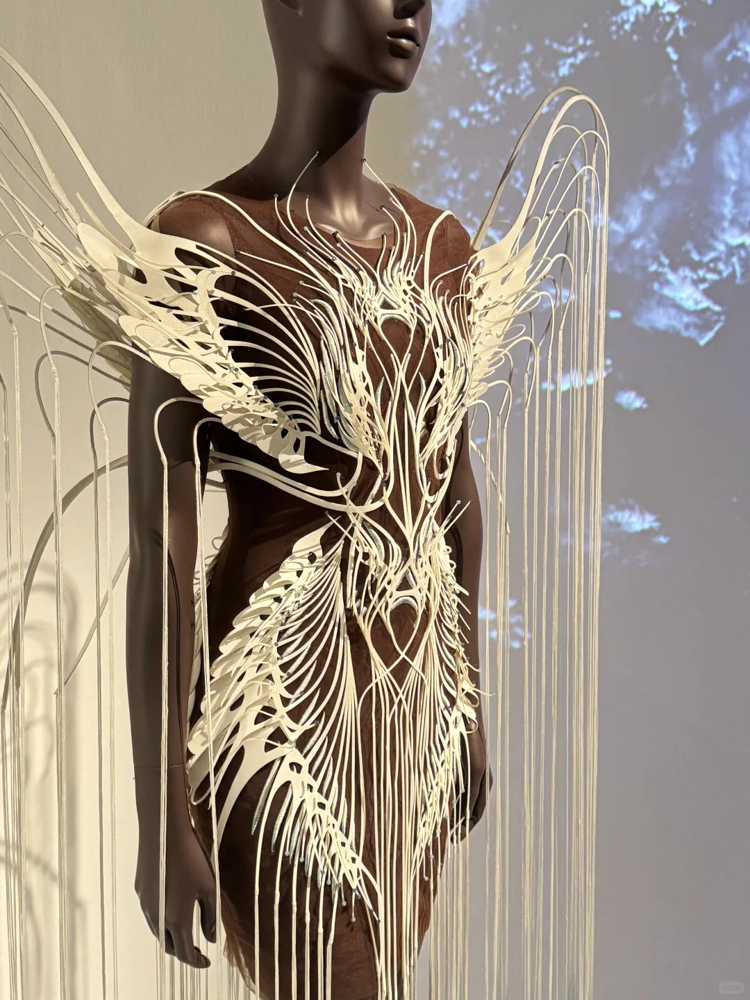 Iris van Herpen | 梦境与现实的边界