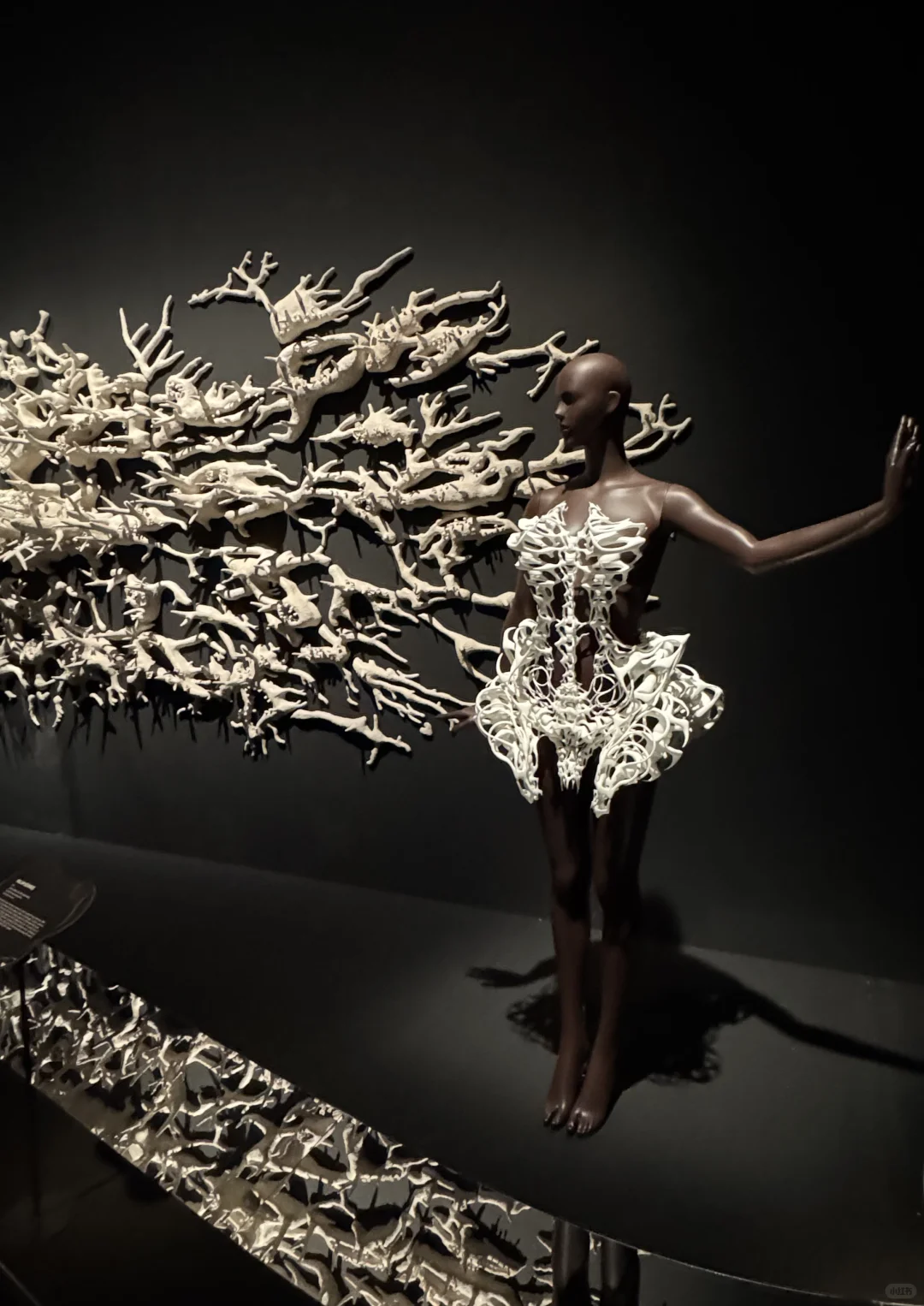 Iris van Herpen | 梦境与现实的边界