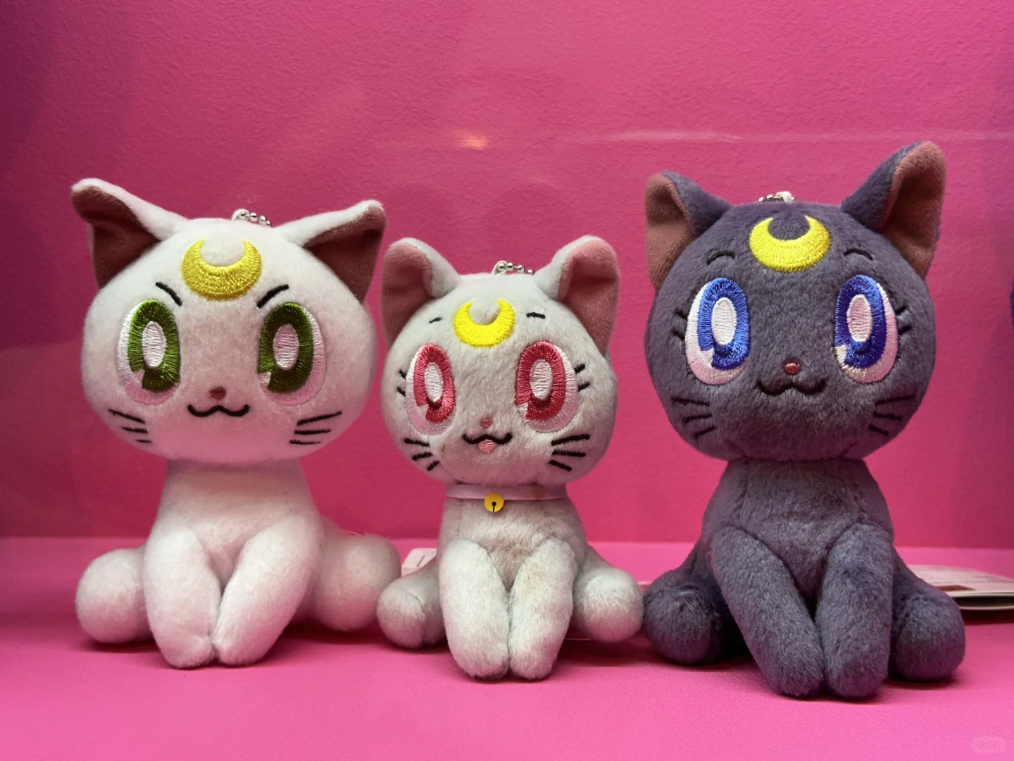 美少女战士30周年巡展