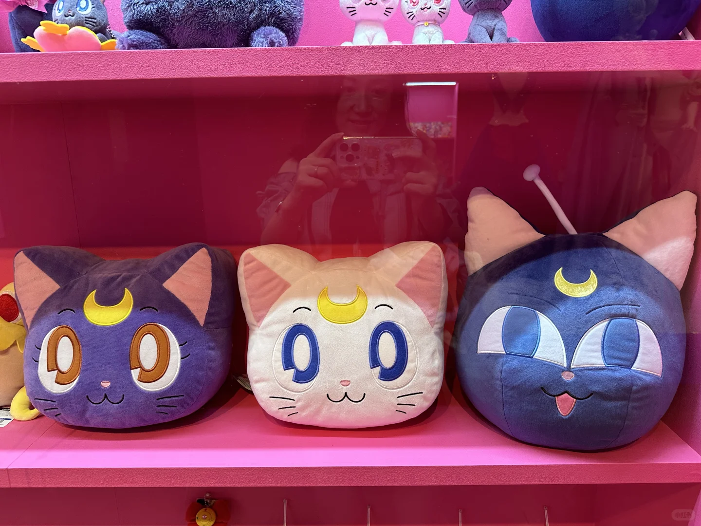 美少女战士30周年巡展