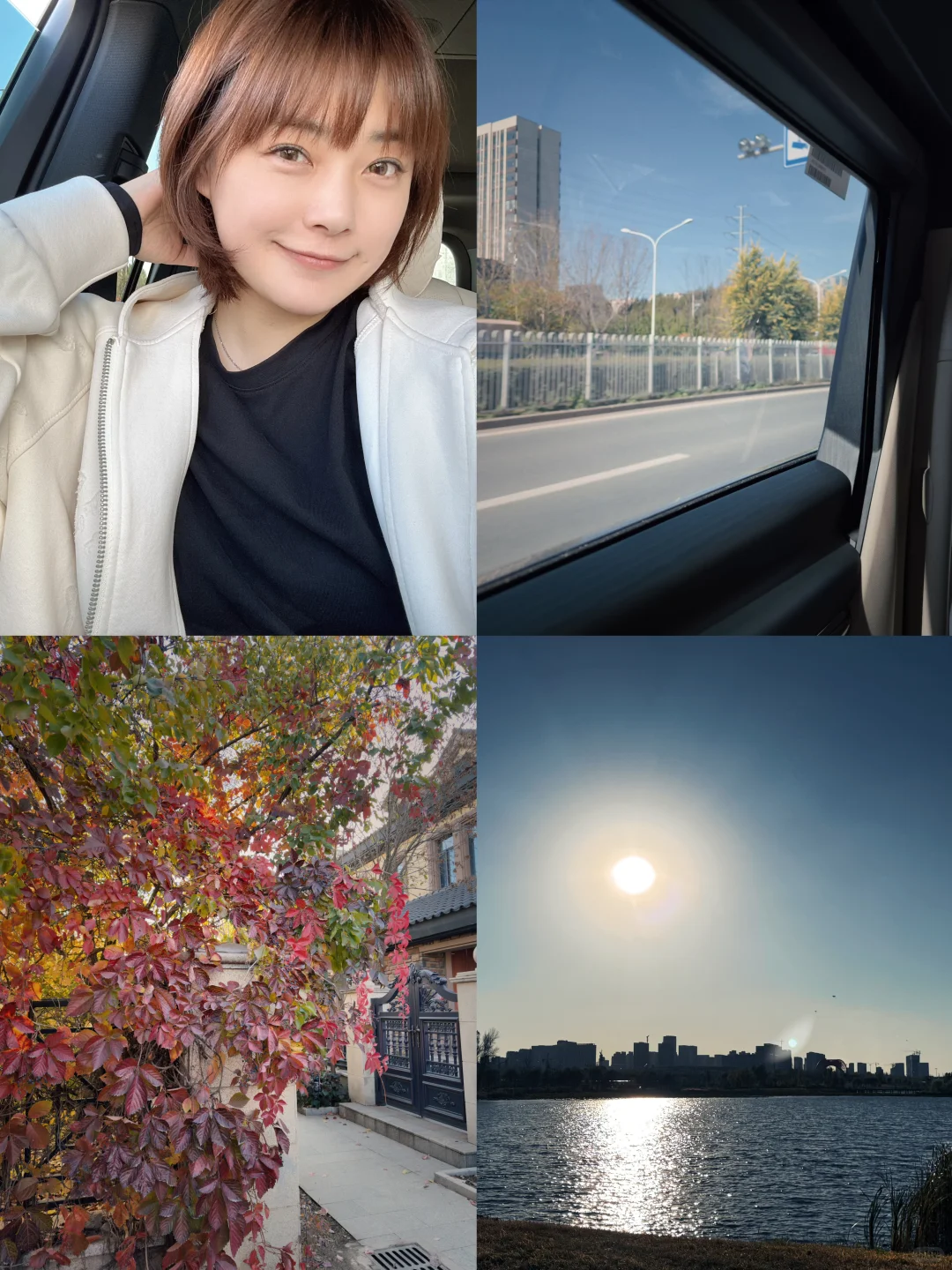 40岁中年少女的无聊日常