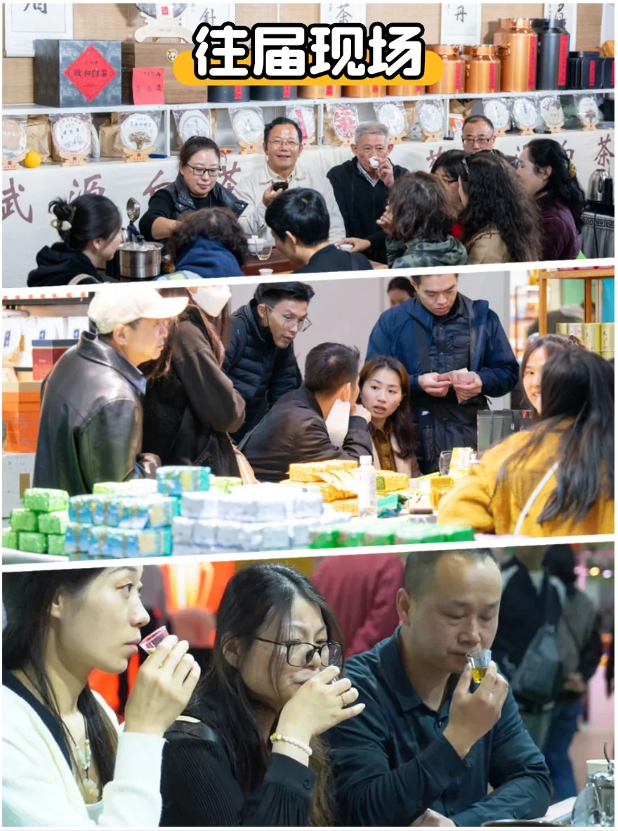 ?上海茶博会攻略 | 免费喝遍全球好茶！