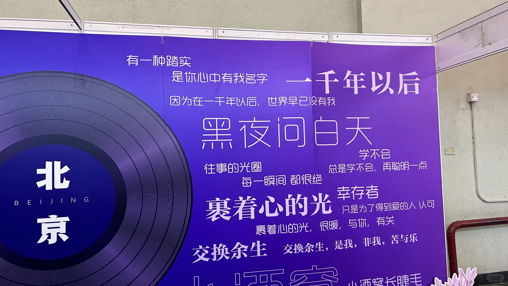 我来了我来了