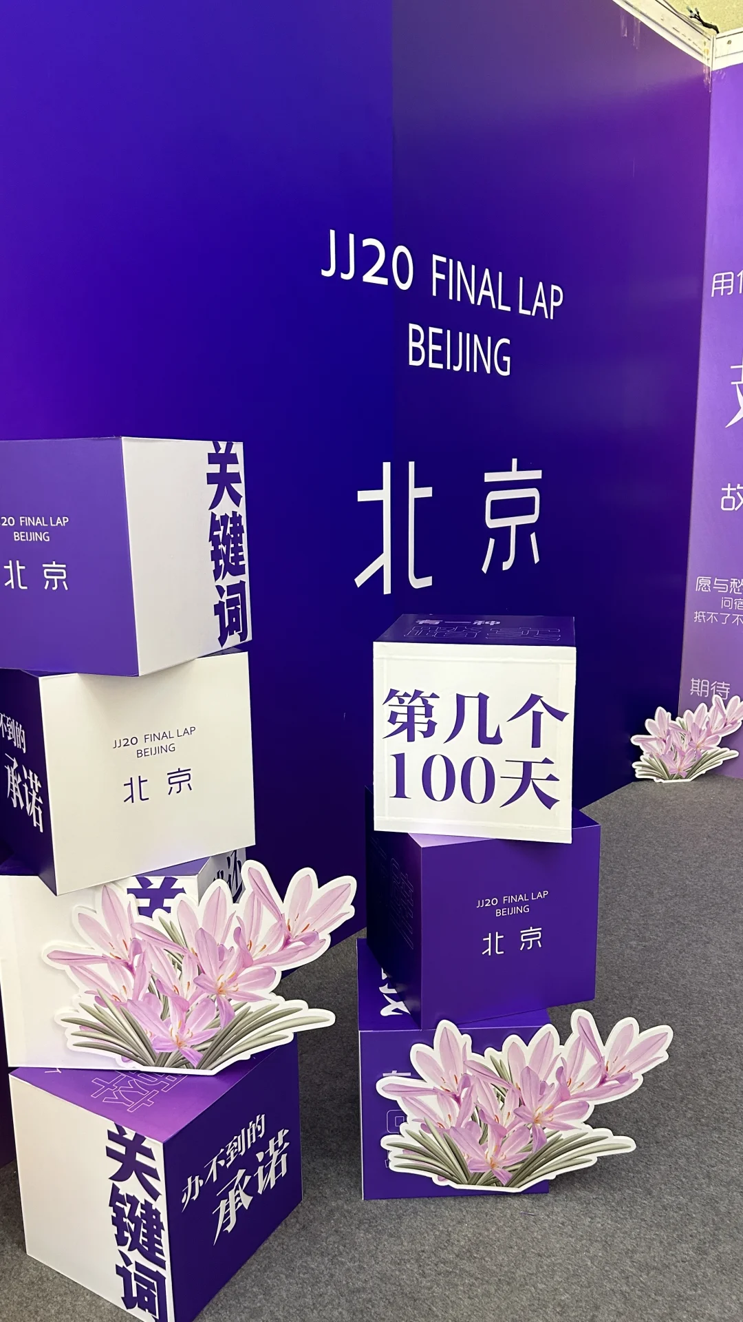 我来了我来了