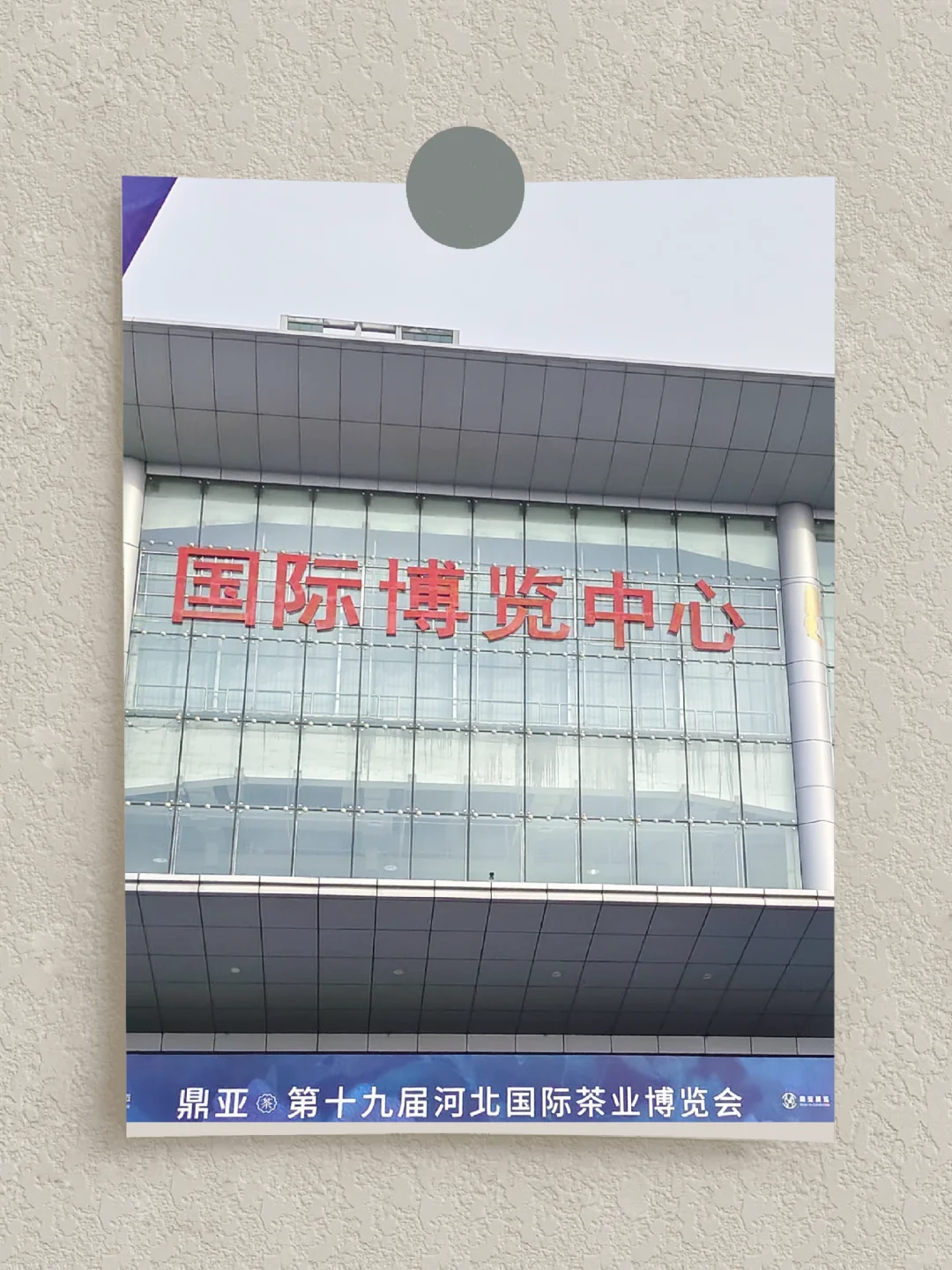 茶博会——2024.11.18（石家庄）