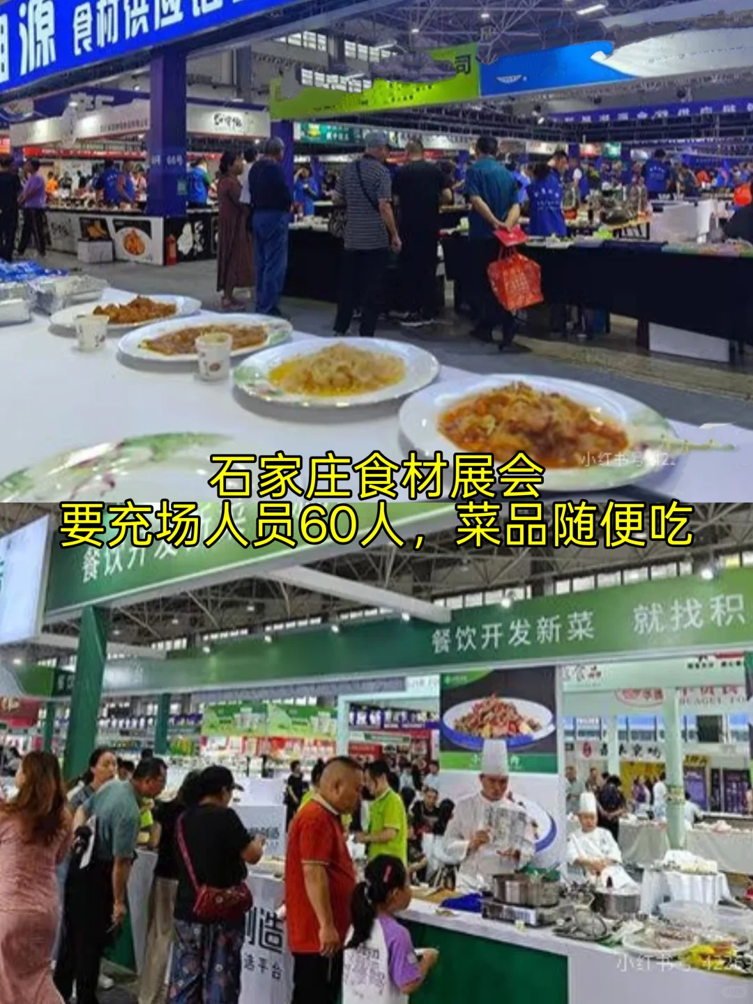 石家庄7月13号上午 坐标:正定会展中心