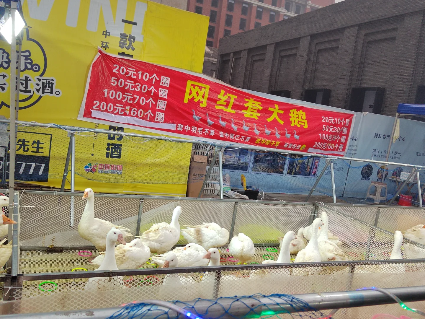 你们那里的展销会是什么样子的？