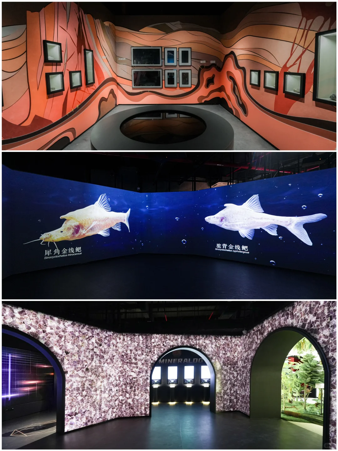 宁波新顶流!中国国家地理•MAGZONE开馆啦!