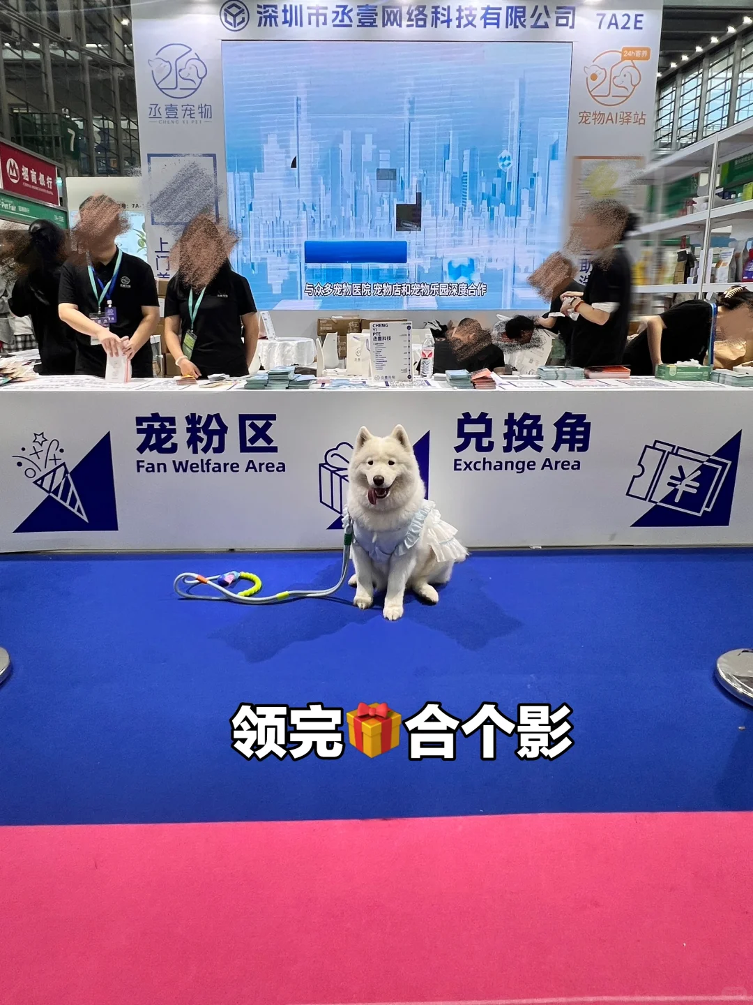 第13届深宠展半日游总结✅逛展必看‼️