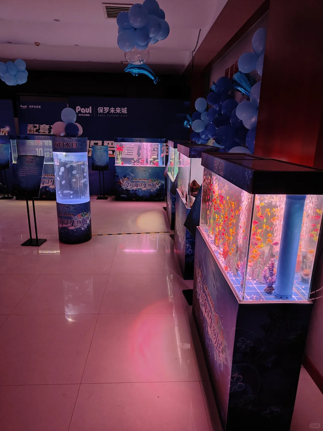 售楼部开放活动，海洋生物展