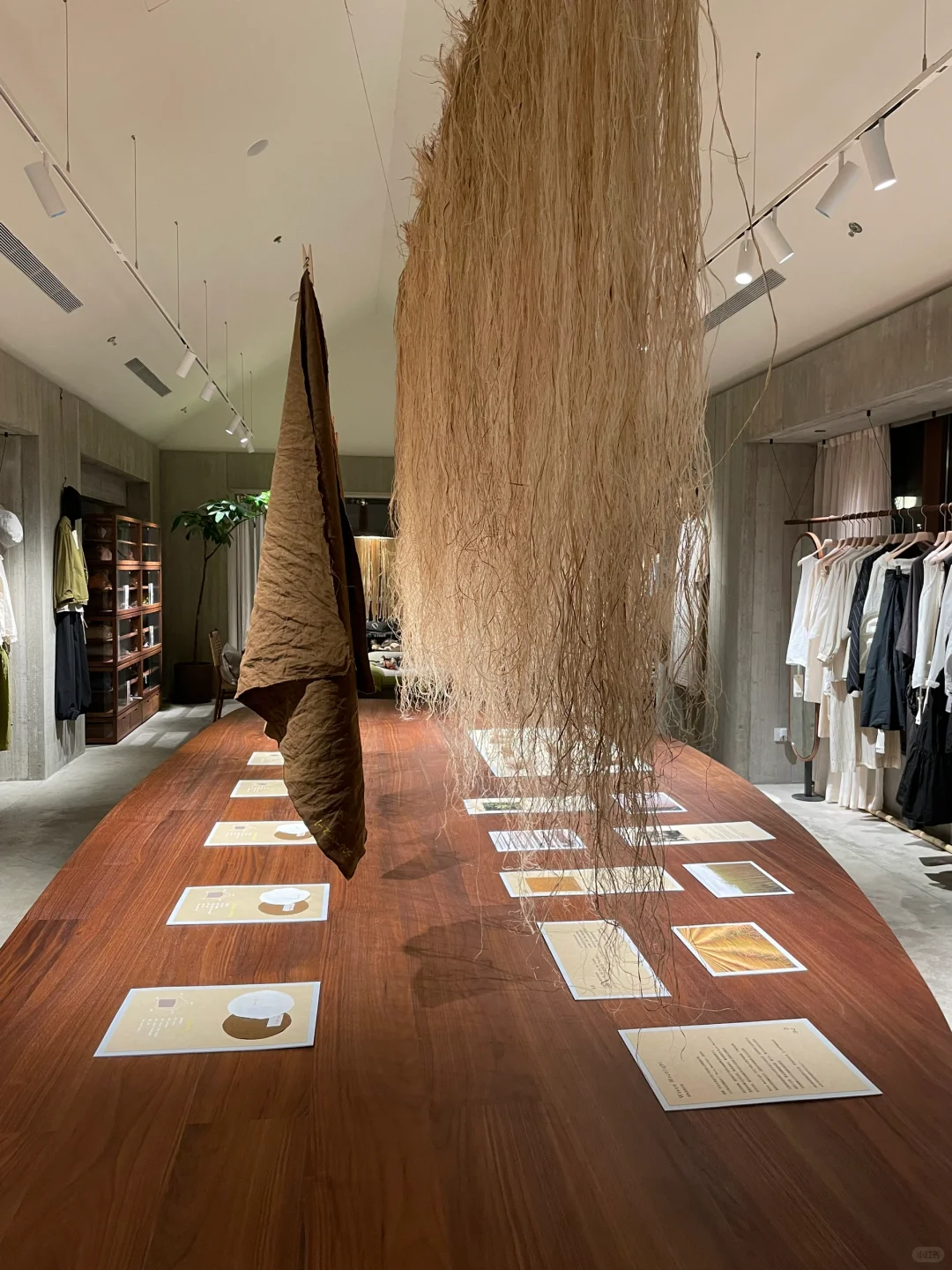 “麻” 展进行中···