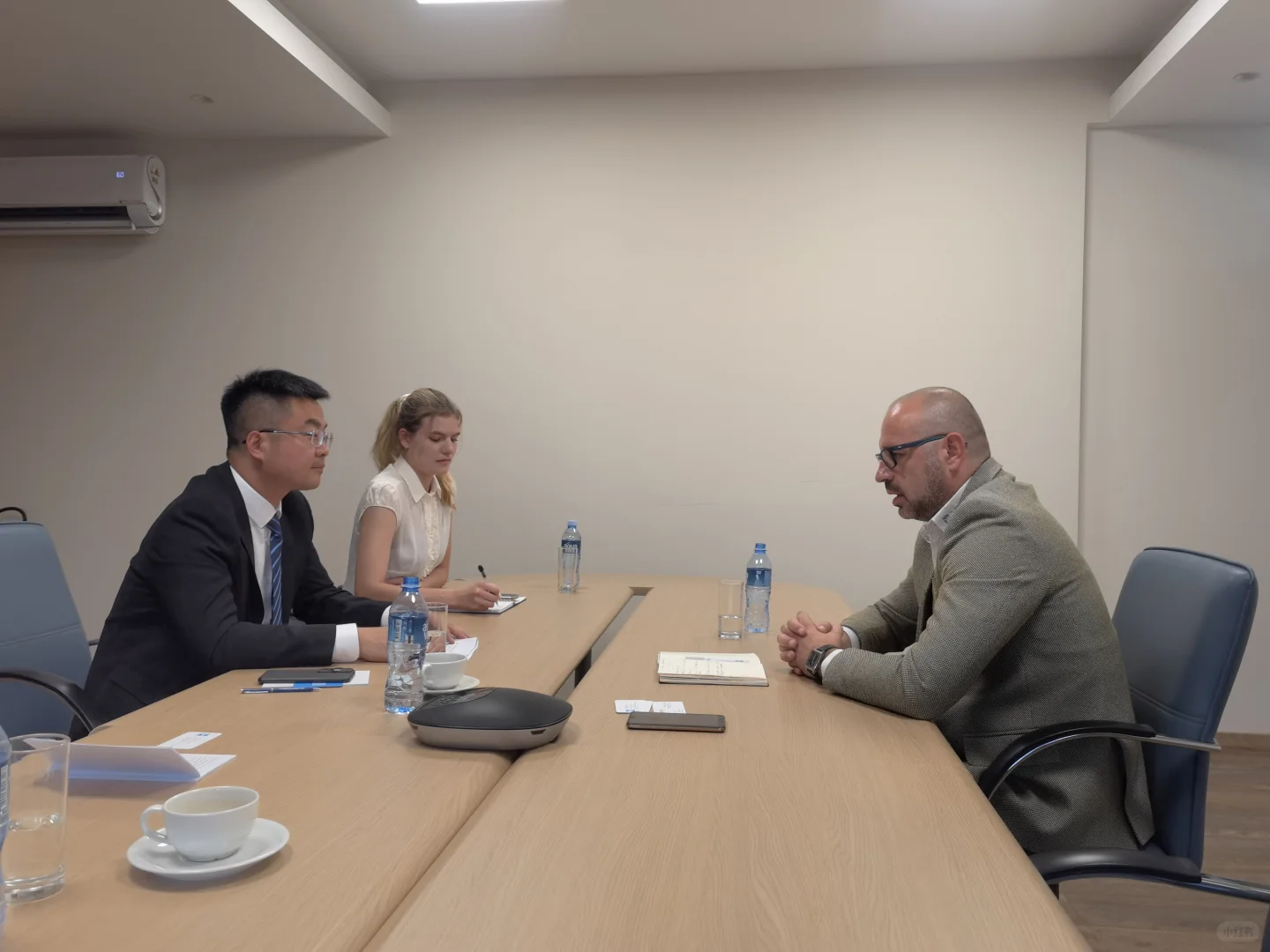 中塞翻译:中国山东-塞尔维亚精准采购对接会