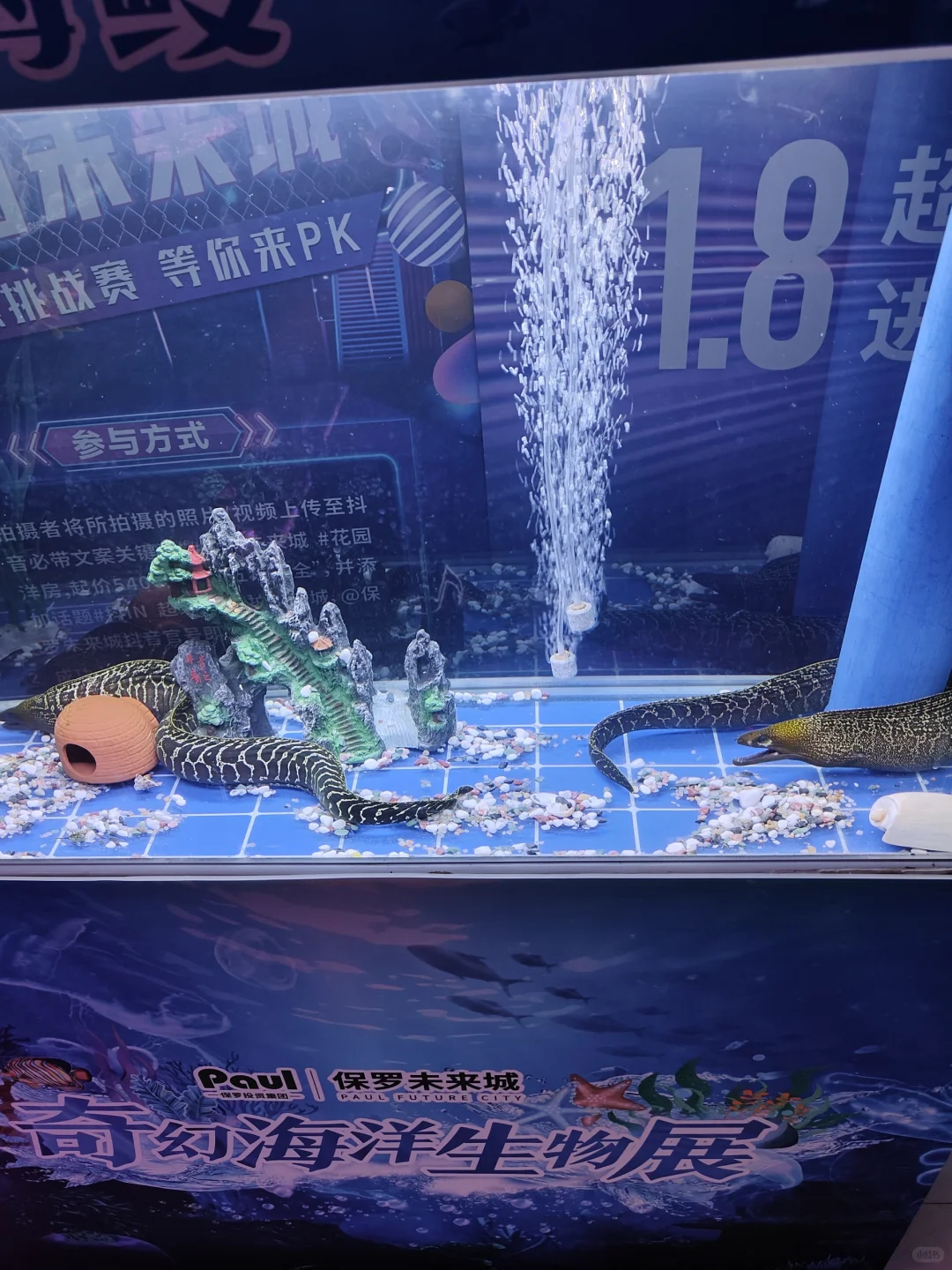 售楼部开放活动，海洋生物展