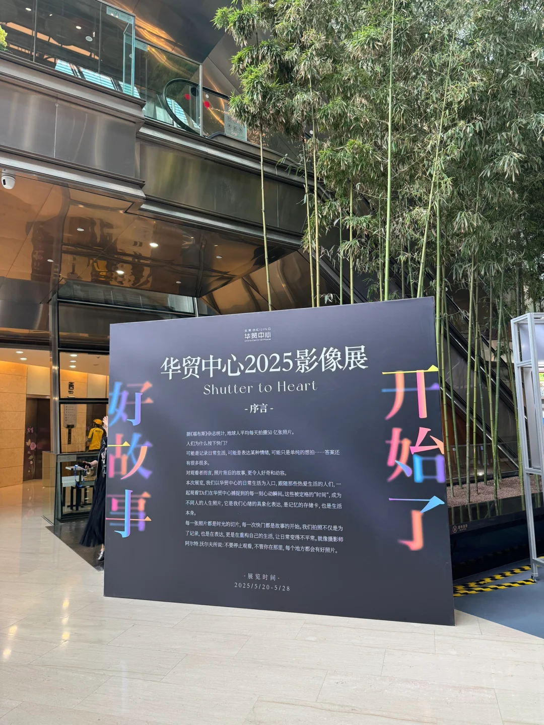 来投票啦！！