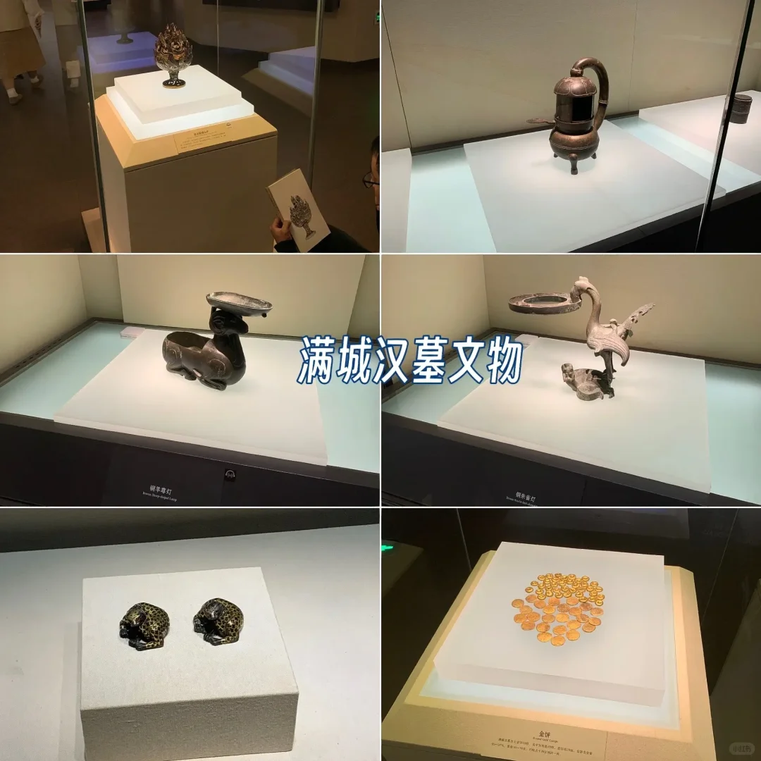 河大学生逛石家庄|去国际庄是为了看文物!