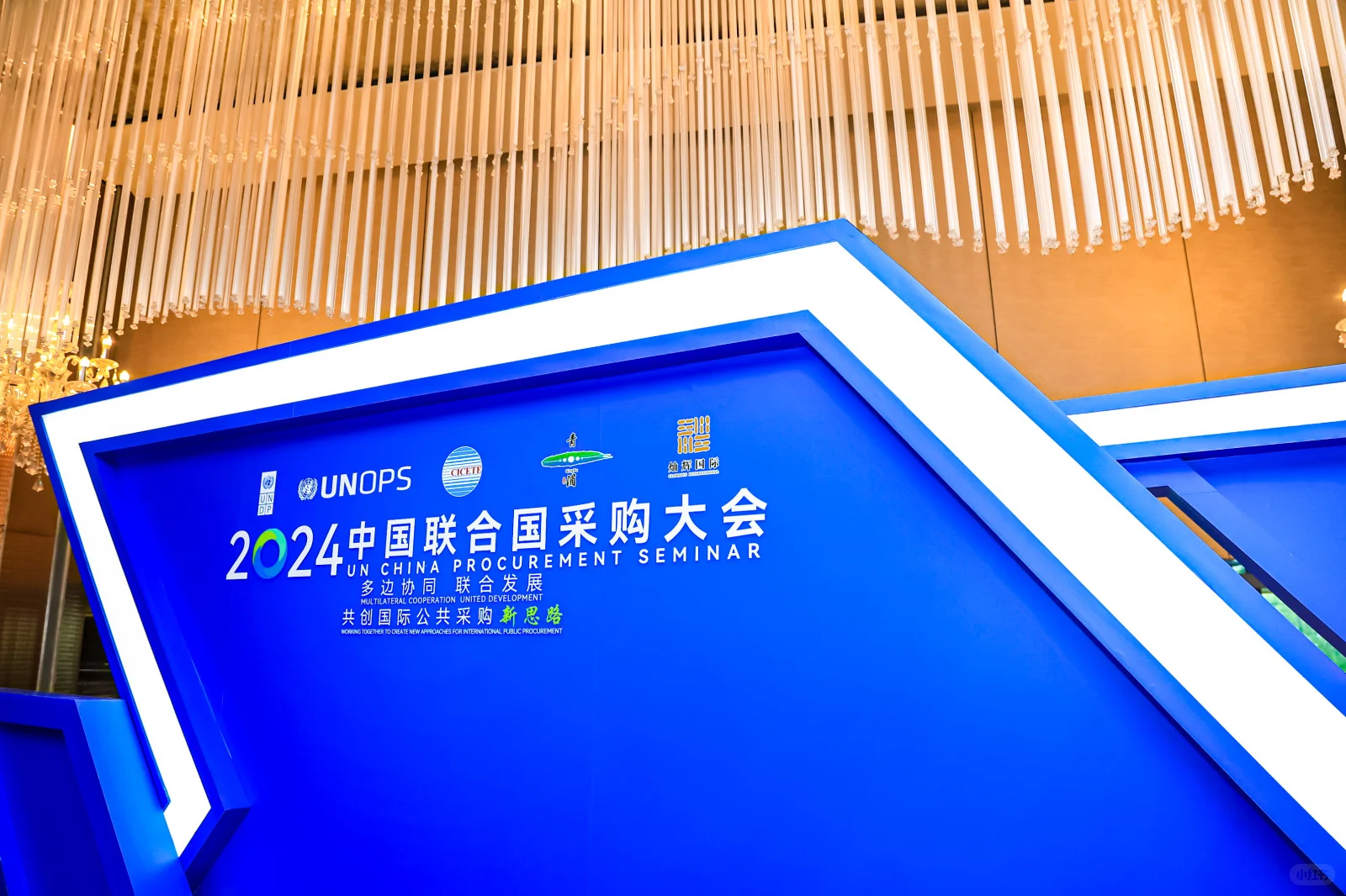 联合国采购大会
