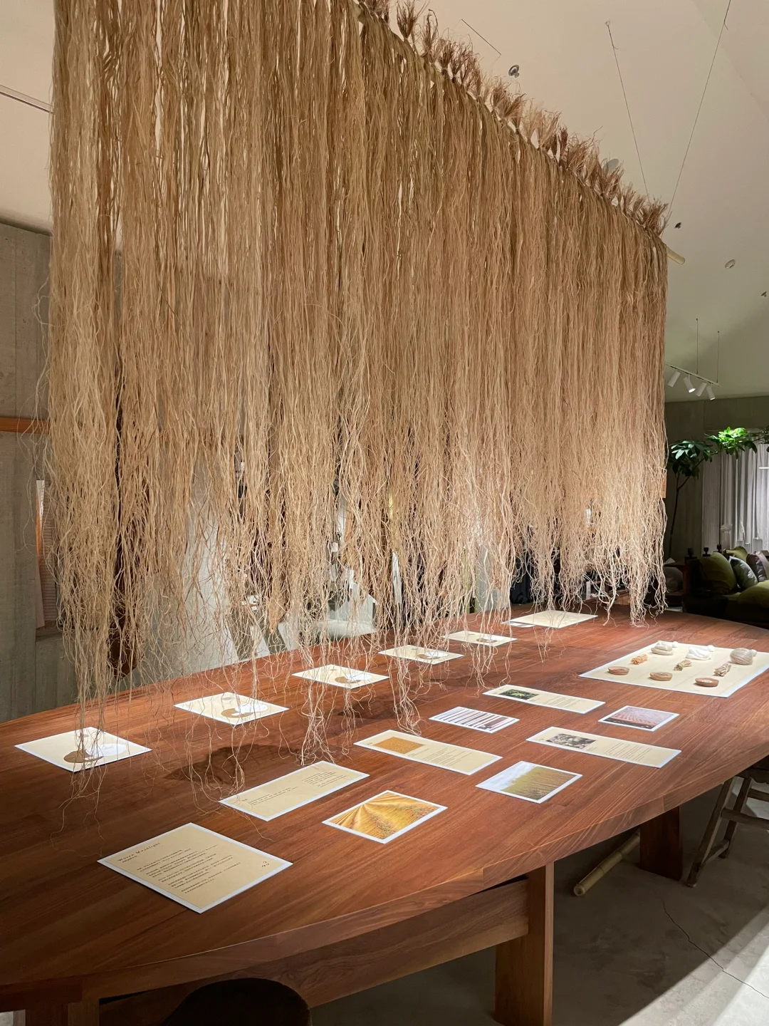 “麻” 展进行中···