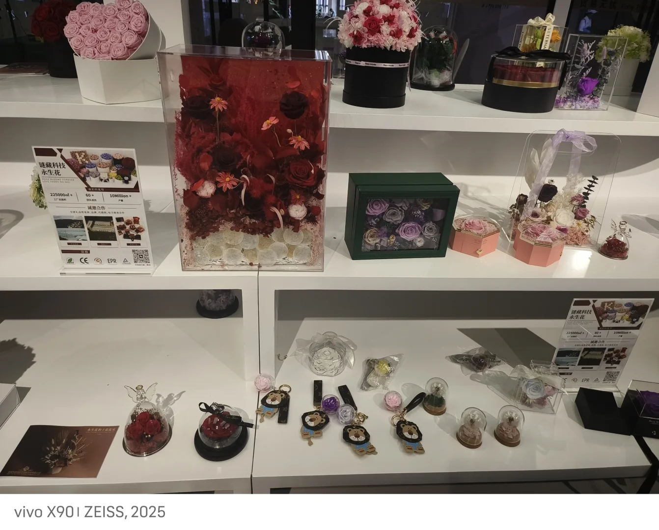 2025年南博会逛展体验