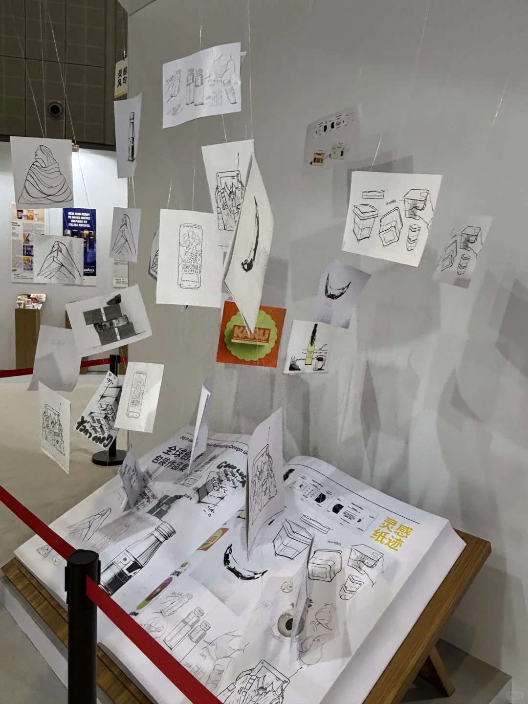 吃货勇闯上海食品展！今天是256G的胃！?