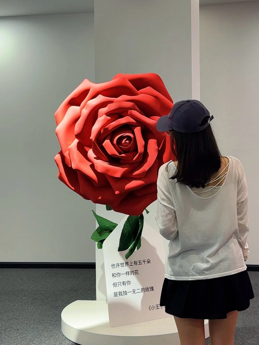 ?哇塞深圳·潮流艺术展～走进小王子的世界❤️