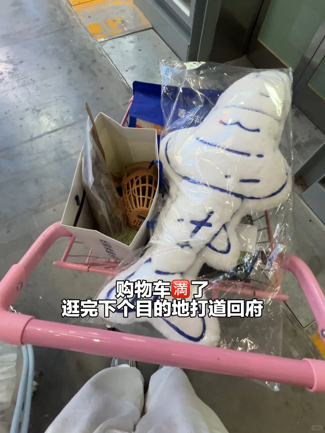 第13届深宠展半日游总结✅逛展必看‼️