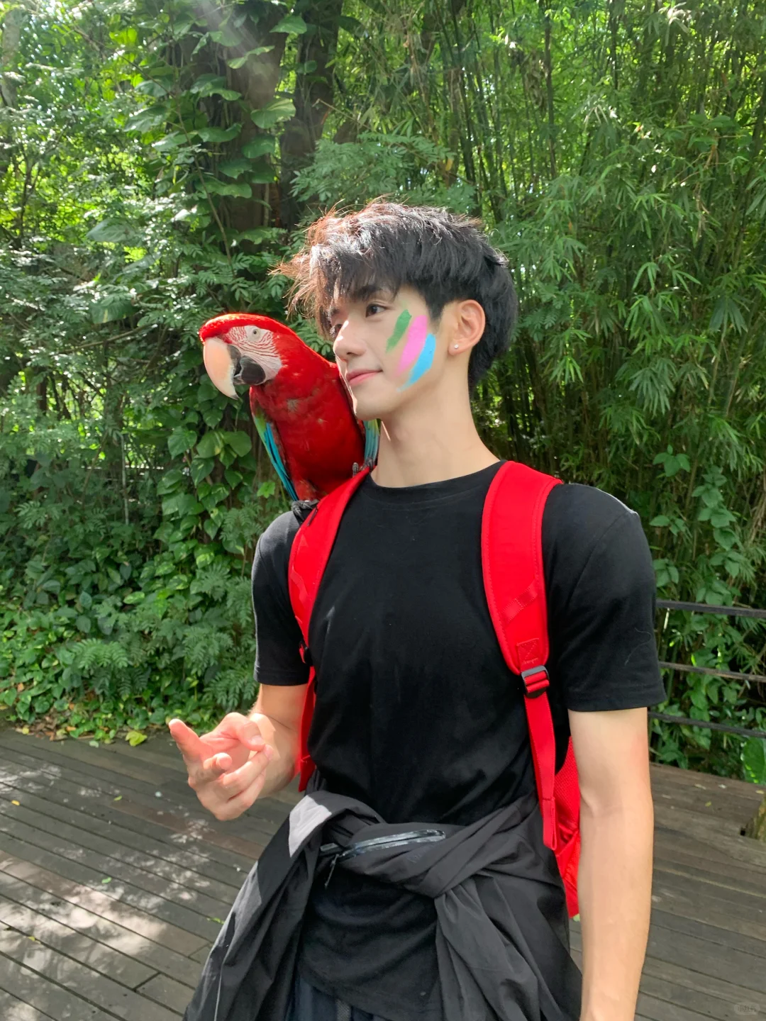我的三亚plog