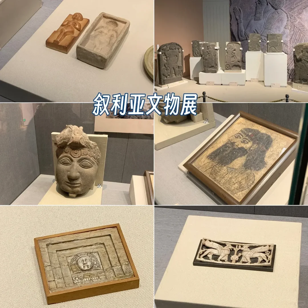 河大学生逛石家庄|去国际庄是为了看文物!