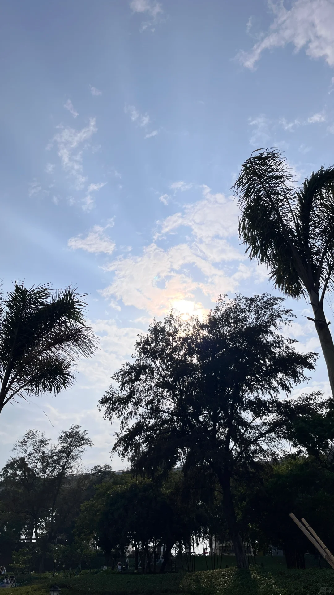 想和你一起去海边