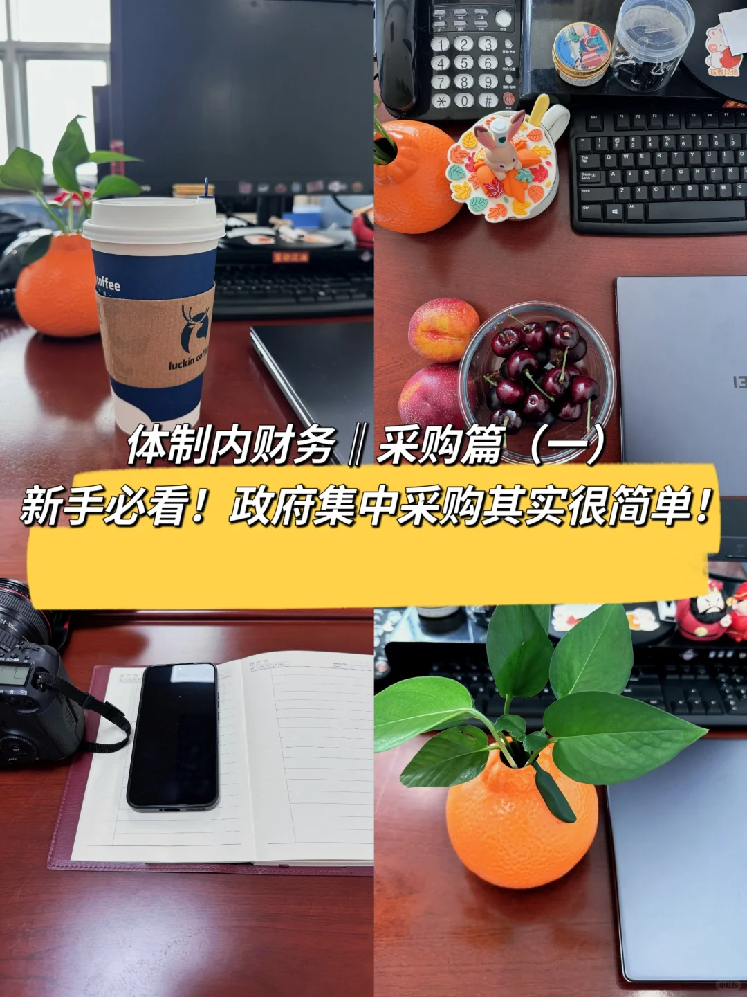 体制内财务新手必看,一文看懂政府集中采购
