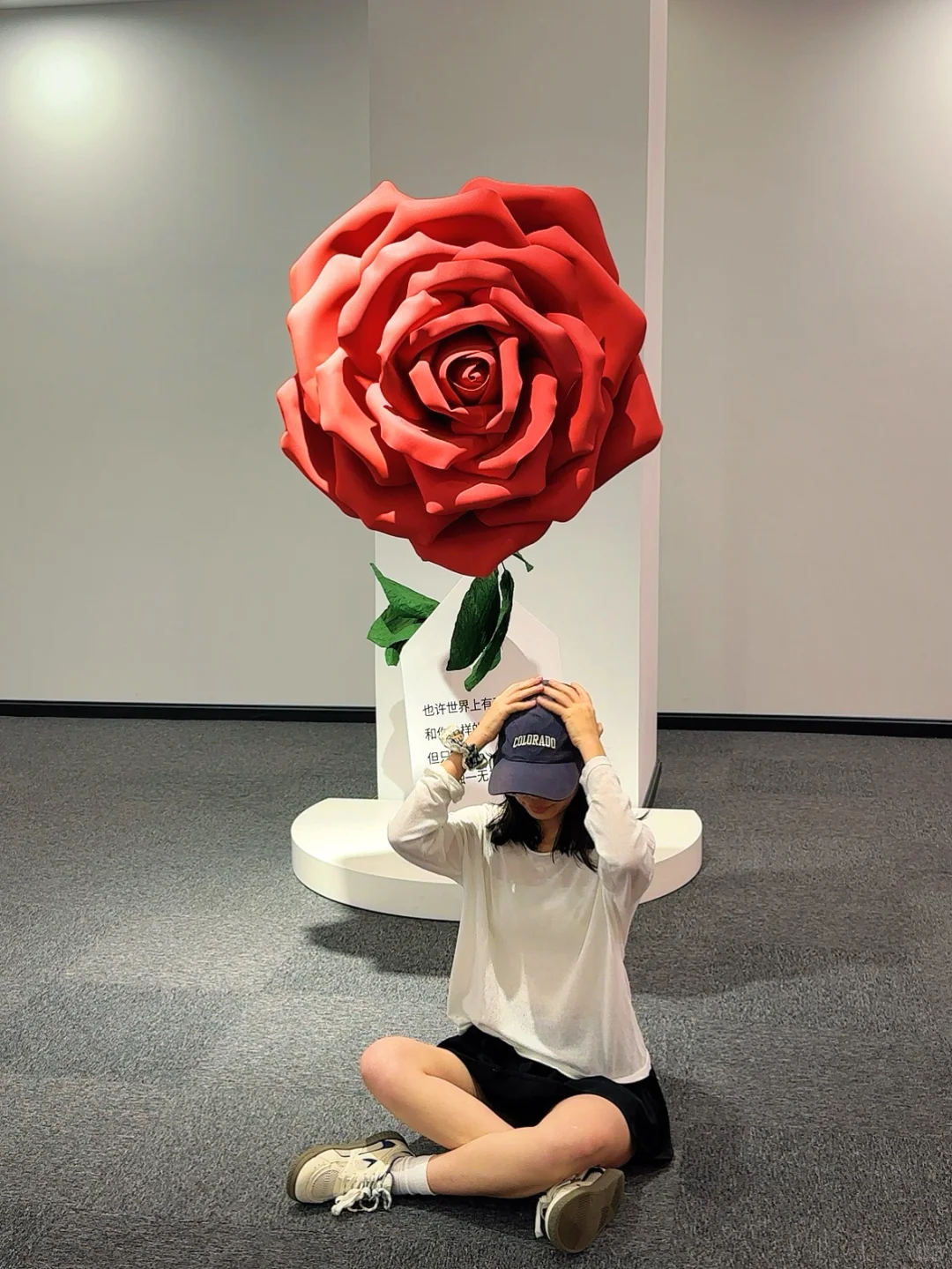 ?哇塞深圳·潮流艺术展～走进小王子的世界❤️