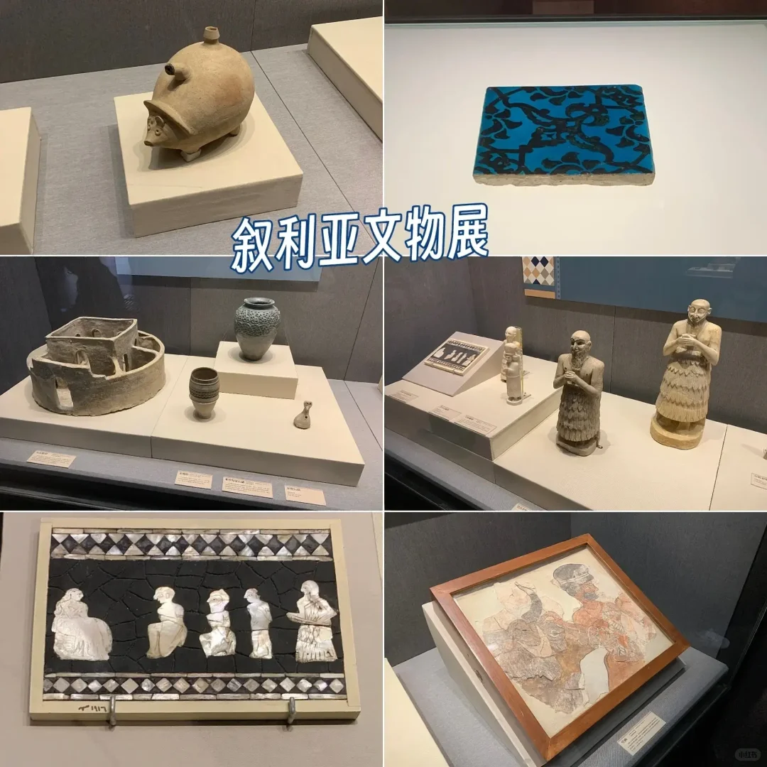 河大学生逛石家庄|去国际庄是为了看文物!