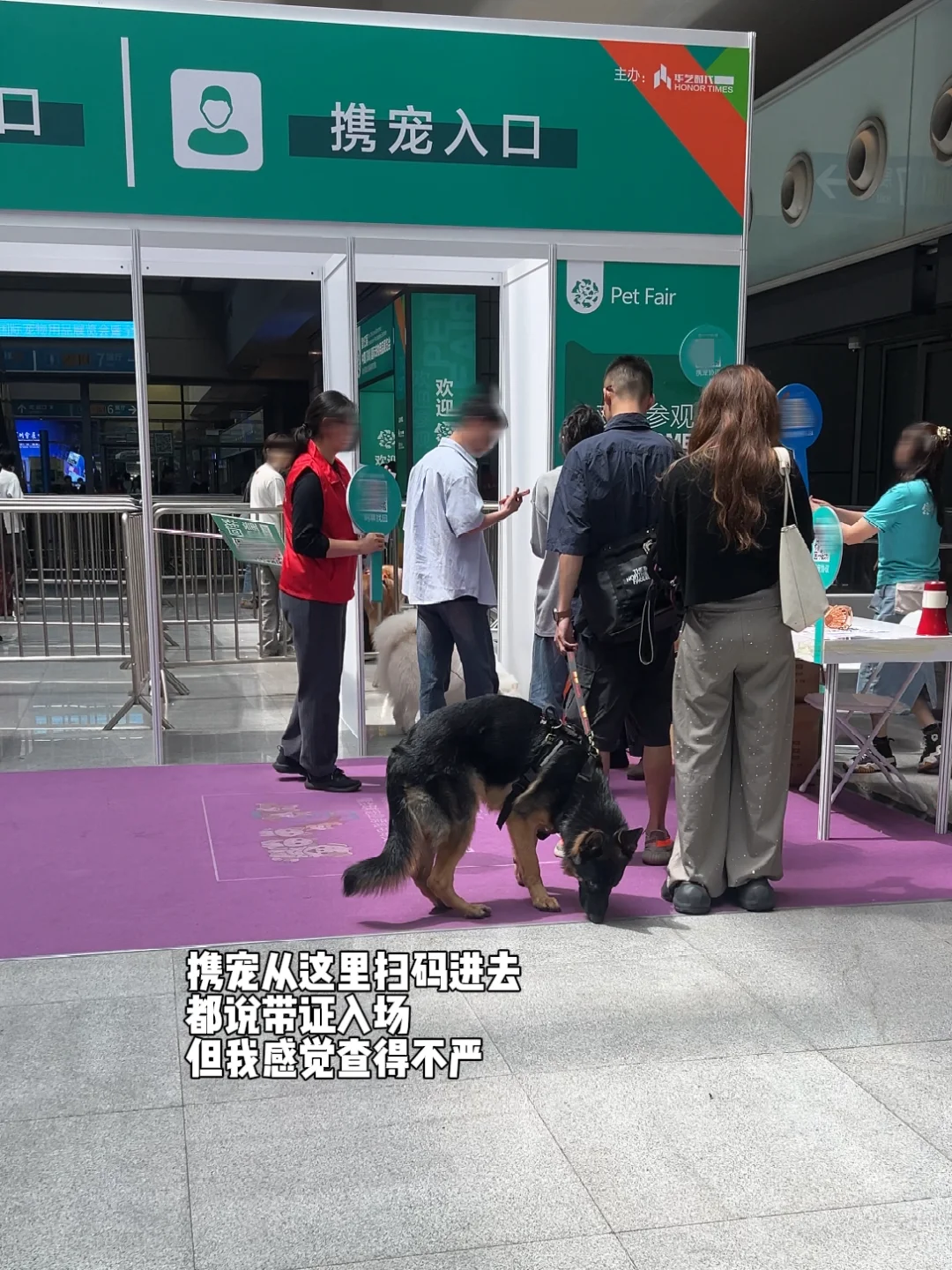 第13届深宠展半日游总结✅逛展必看‼️