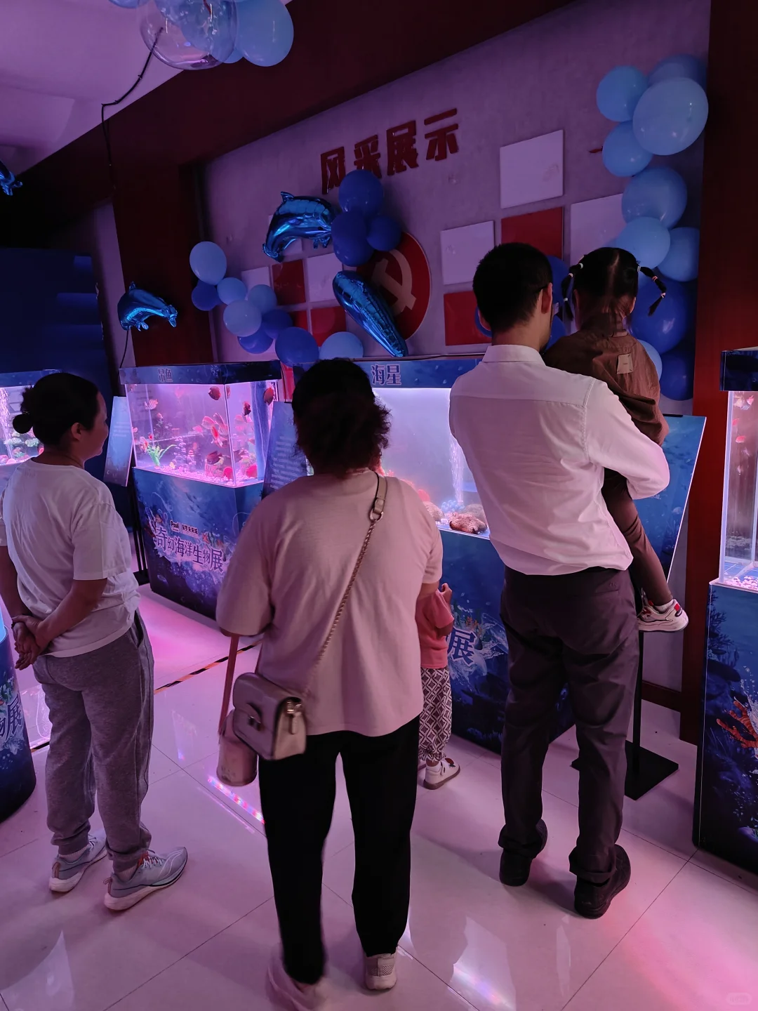 售楼部开放活动，海洋生物展