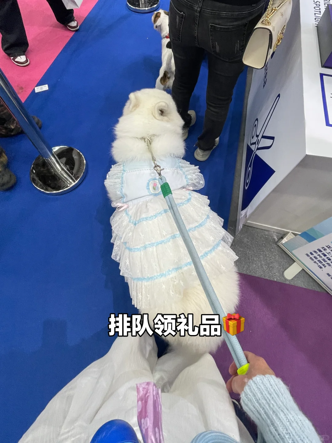 第13届深宠展半日游总结✅逛展必看‼️