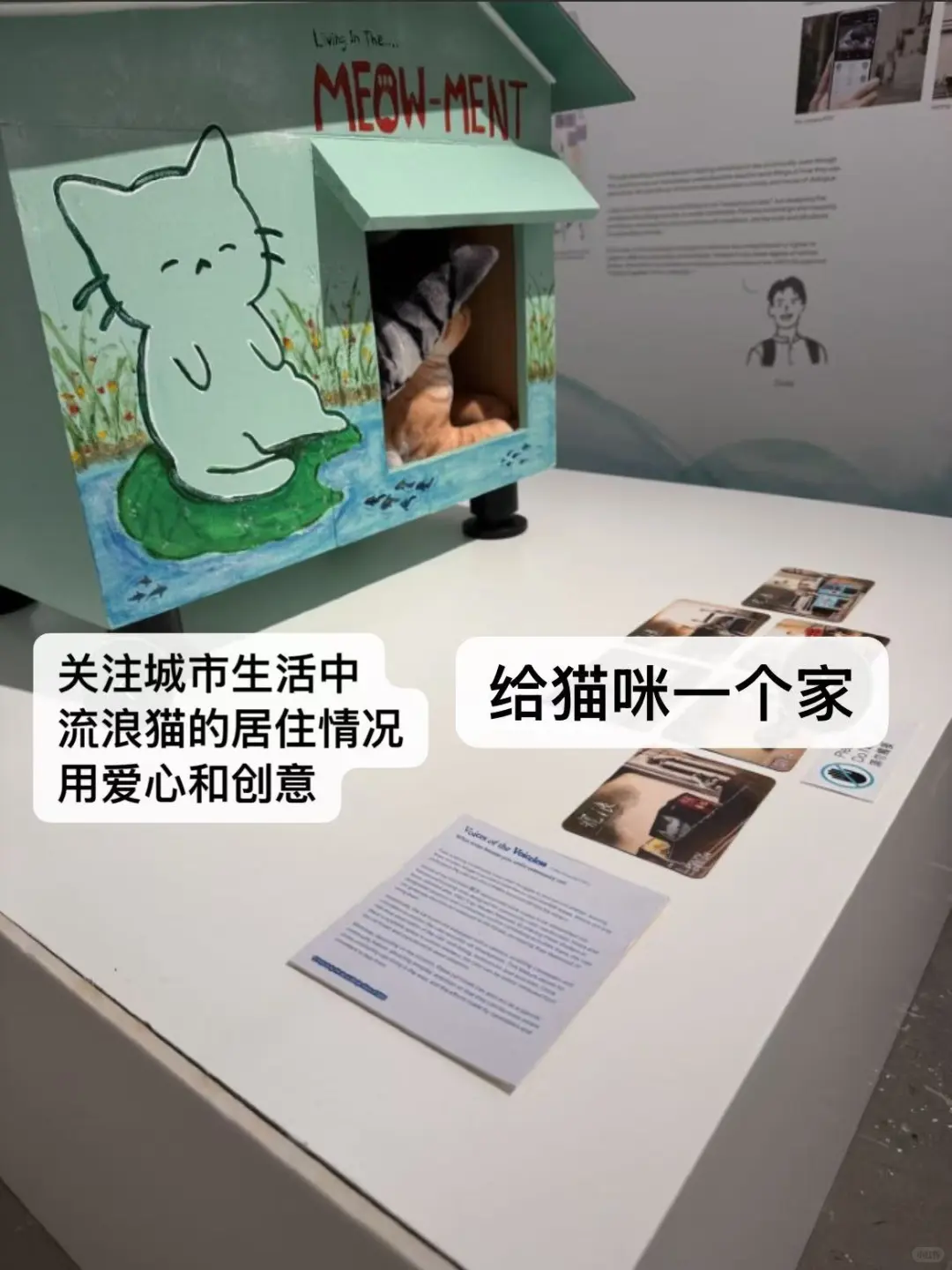 如果重选一次大学,我想选在港理读设计…