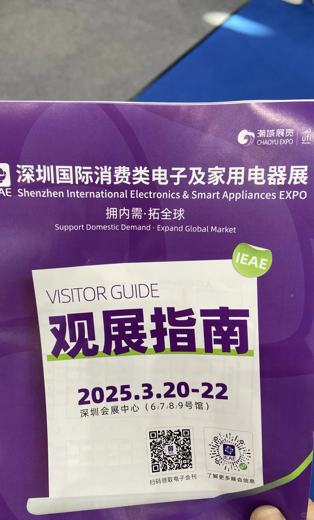 第四届CHWE出海网全球跨境电商展（深圳）