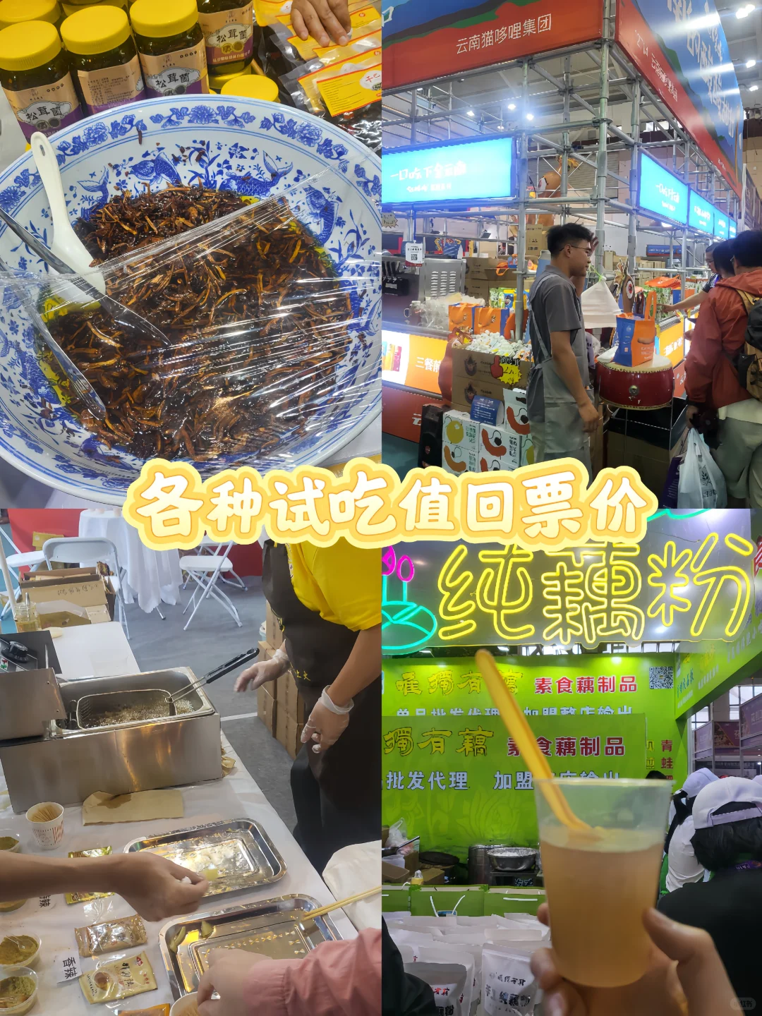 25年南博会最全攻略?薅羊毛指南❗