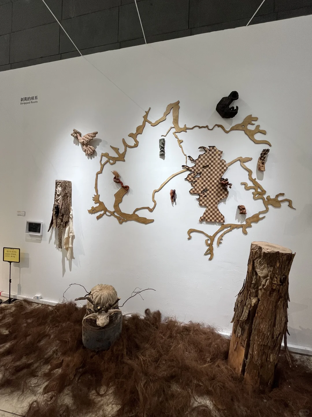 央美毕业设计展之【基本功】